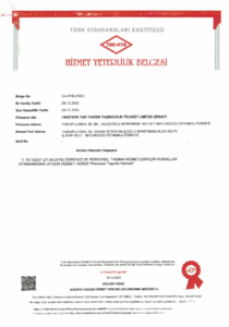 TSE.pdf